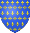 Escudo de Luis IX de Francia