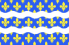 Bandera de Sena y Marne