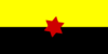Bandera de Cantón Nangaritza