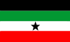 Bandera de Región Gambela