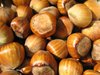 Hazelnuts 02.jpg