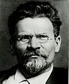 A photo of Mikhail Kalinin, the Chairman of the Central Executive Committee of the Congress of Soviets, and later, the Chairman of the Presidium of the Supreme Soviet