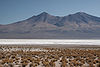Salar de Chiguana - Potosí - Bolivia.jpg