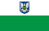 Bandera de Condado de Viljandi