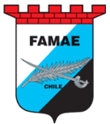 Logo Famae.gif