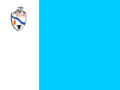 Bandera de Río Bueno