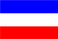 Bandera de Socha