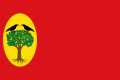 Bandera de Leciñena