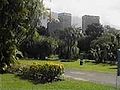 Botanic Garden of Caracas.jpg