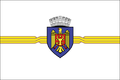 Bandera de Chisinau