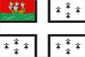 Bandera de NantesNaoned, Naunnt