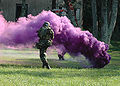 Purple smoke grenade.jpg