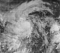 Tropical Storm Dolores (2003).jpg
