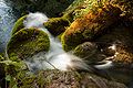 Waterfall in plitvicka romanceor 4.jpg