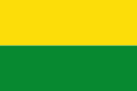 Bandera de Vichada (departamento)