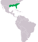 Mapa de distribución del aligátor americano.
