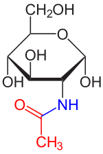 N-Acetyl-D-glucosamin colour.svg