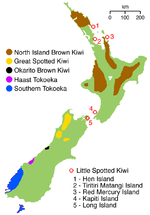 Distribución de A. owenii en Nueva Zelanda.