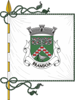 Bandera de la freguesía de Brandoa