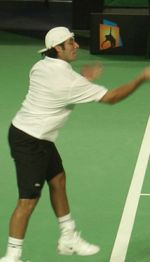 Sebastien Grosjean 2006 Australian Open.JPG
