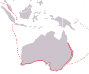 Oceania simon.png