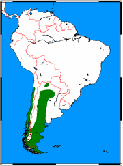 Distribución del zorro gris patagónico