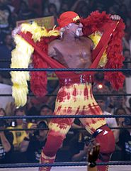 Hulk Hogan, 7 veces ganador.