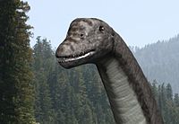 Abydosaurus NT.jpg