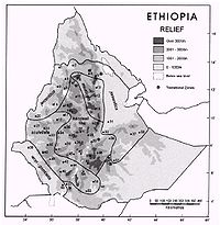 Apis mellifera Etiopia.jpg