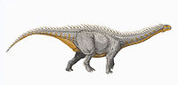 Barapasaurus DB.jpg