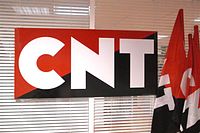 CNT Logo.jpg