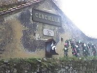 Cenciella.jpg