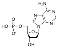 DAMP chemical structure.png