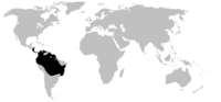 Distribución de Dendrobatidae (en negro)