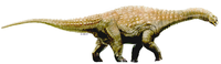 Diamantinasaurus.png