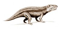 Erythrosuchus BW.jpg