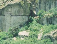 Guila Naquitz cave.jpg