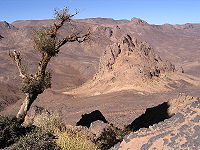 Monte xerófilo del Sahara occidental
