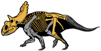 Kosmoceratops richardsoni.png