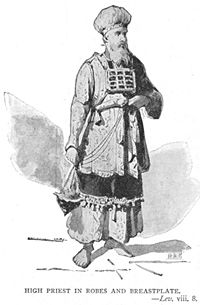 LEV 8- High priest in robes and breastplate.jpg