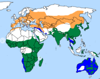 Verde: residente todo el añoNaranja: área de cría Azul: área de invernada