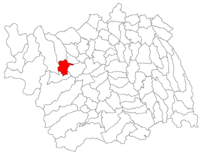 Localización de Moineşti