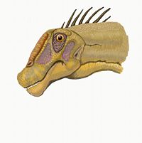 Nemegtosaurus DB.jpg