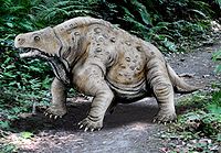 Pareiasaurus NT.jpg