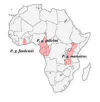 Rango de distribución de las subespecies
