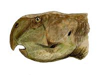 Psittacosaurus sinensis BW.jpg
