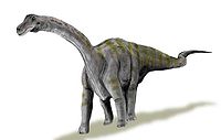 Rapetosaurus BW.jpg
