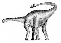 Shunosaurus.jpg