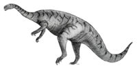 Sketch plateosaurus bulky.jpg