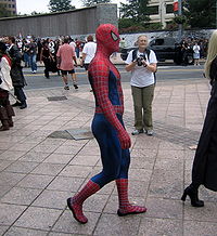 Spidermancostume243.jpg